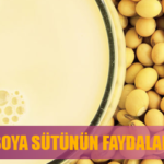 Soya Sütünün Faydaları Nelerdir?