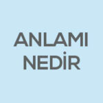 Bejan İsminin Anlamı Nedir?